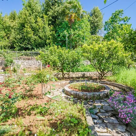 Mladen Jelica * Ičići