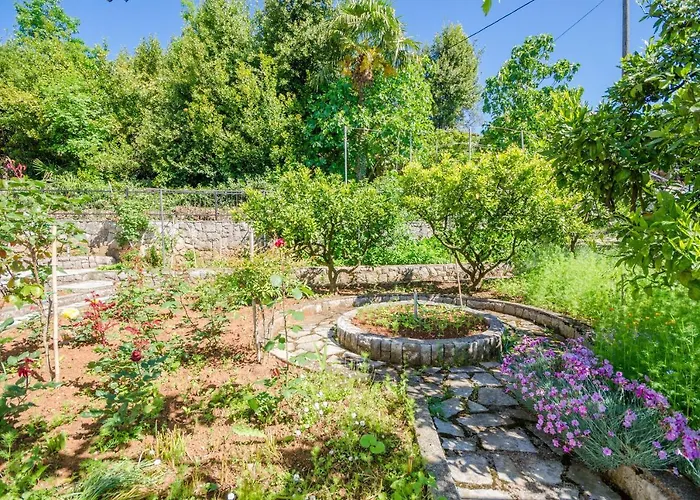 Mladen Jelica * Ičići