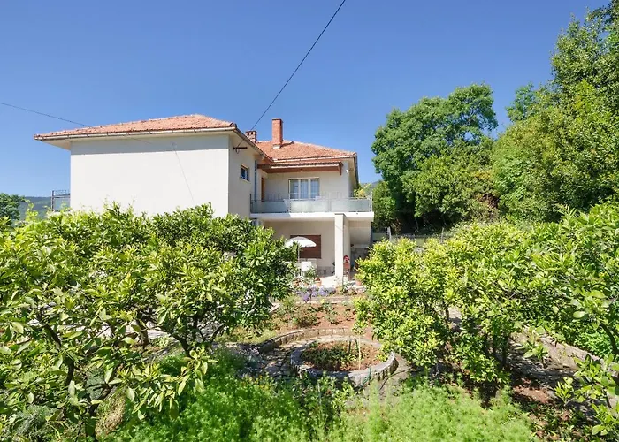 Mladen Jelica * Ičići